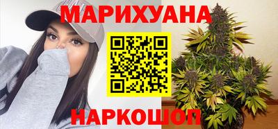 МДПВ Бийск