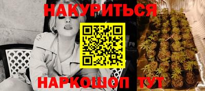 МДПВ Бийск