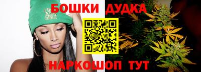 МДПВ Бийск