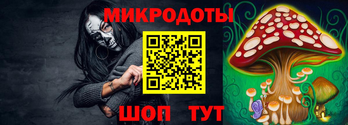Псилоцибиновые грибы MAGIC MUSHROOMS  Вход с VPN  Канаш 